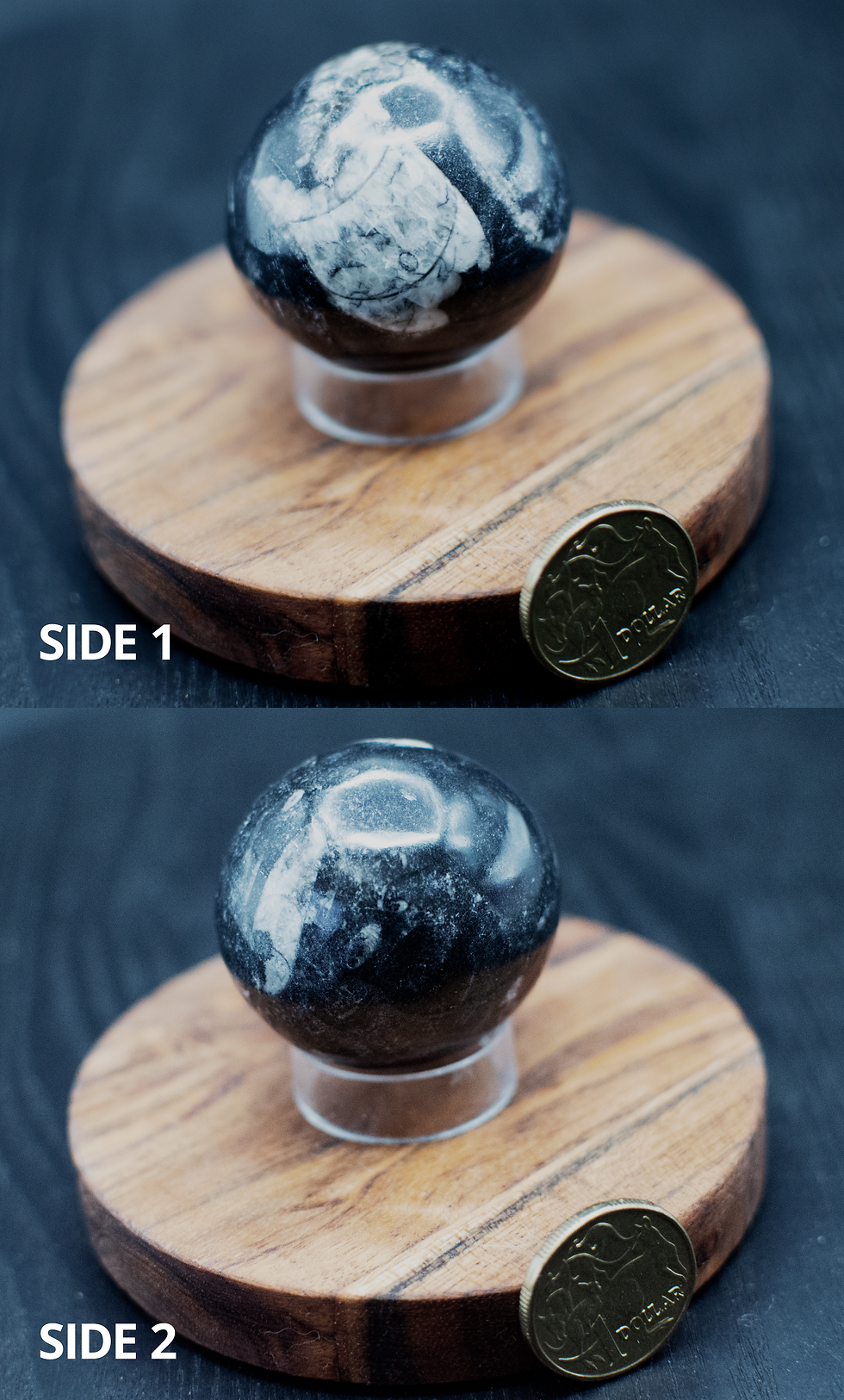 Thumbnail: Orthoceras Rounds 200g<