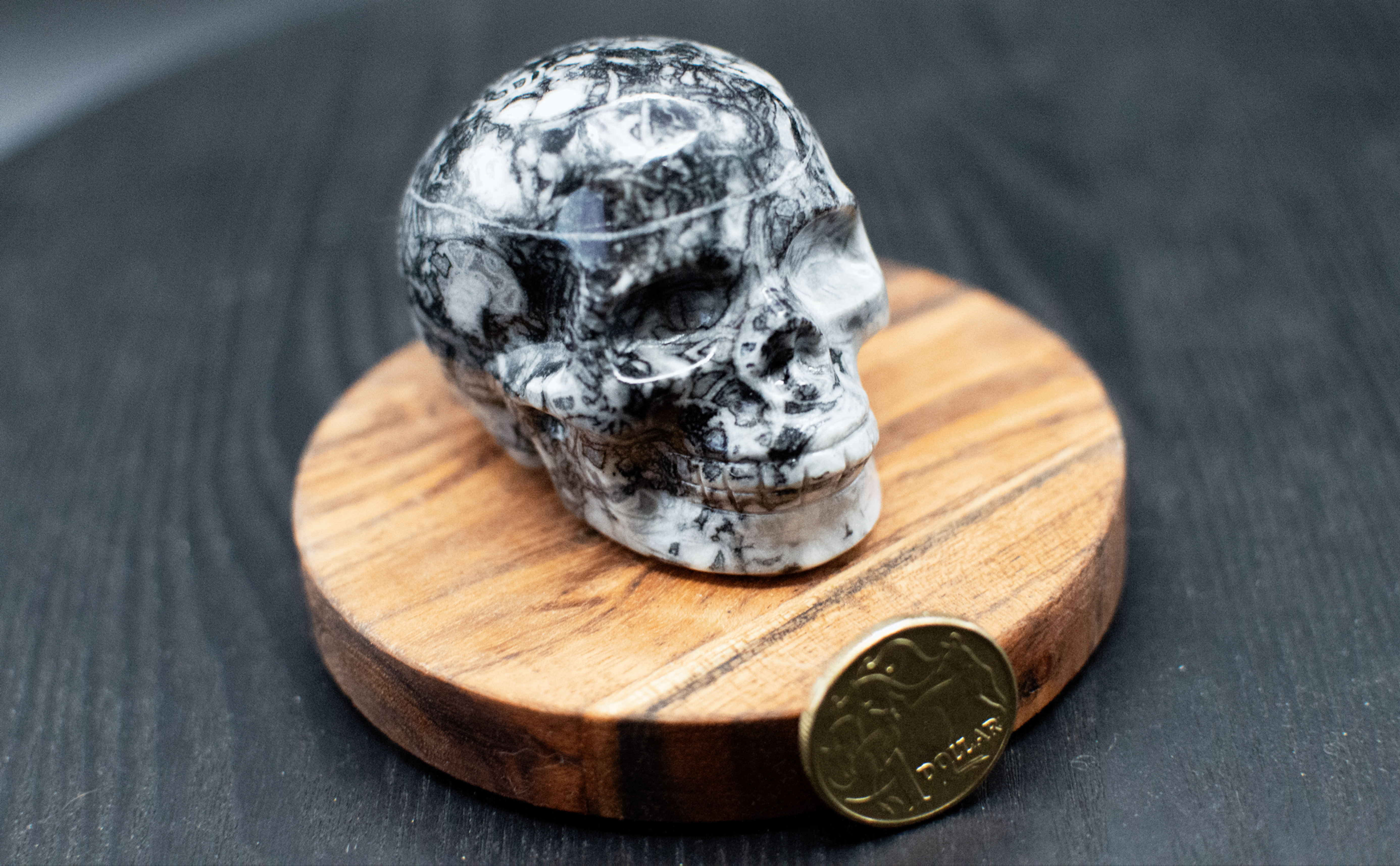 Fossil Marble Skull