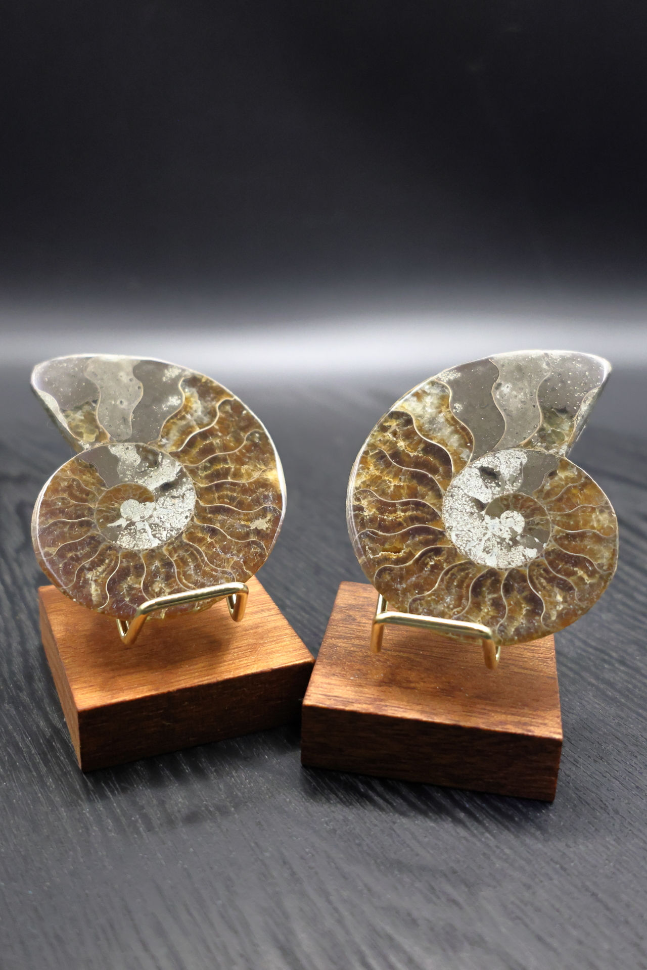 Ammonite Pairs
