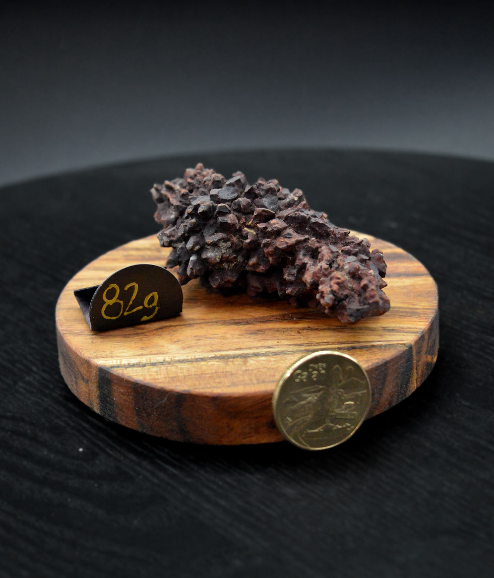 Thumbnail: Coprolite (DINO POOP)