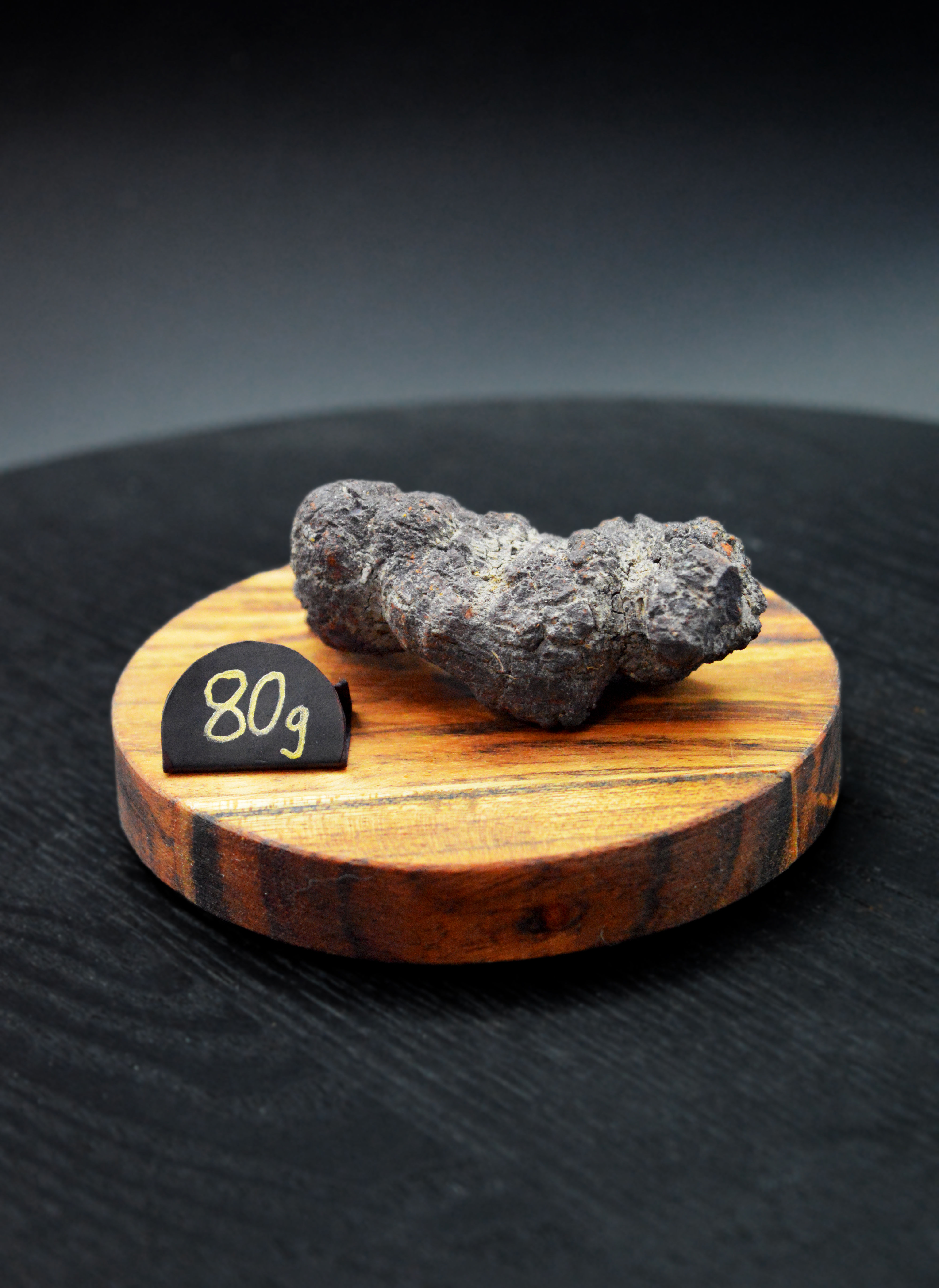 Coprolite (DINO POOP)
