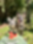 IMG_1475.heic