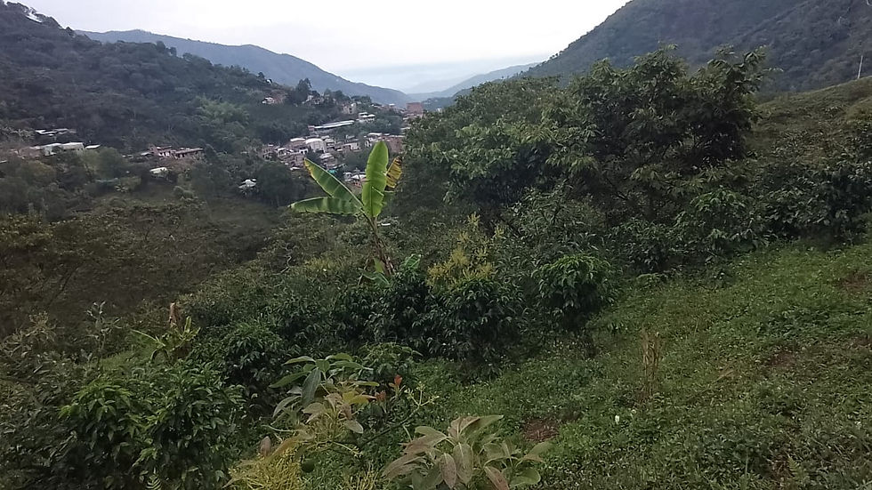 WhatsApp Image 2023-10-02 at 13.20.02