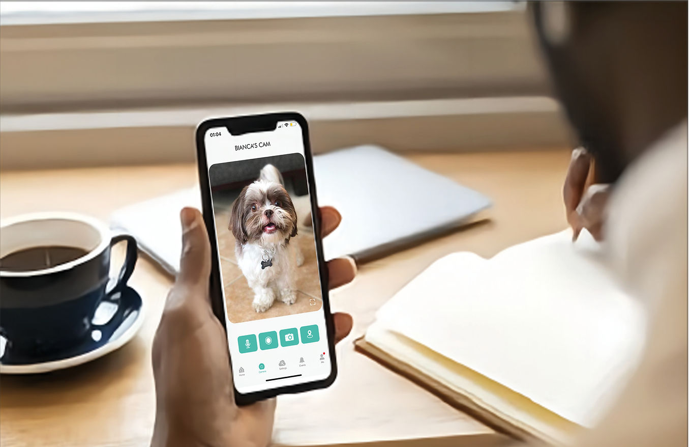 Final Presentation12.jpg