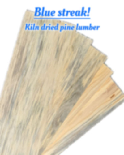 Pine S4S- 5 pack 3/4 x 8 x 36"- Pennsylvania blue pine