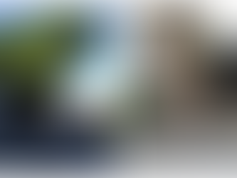 If Only They Could Speak ...