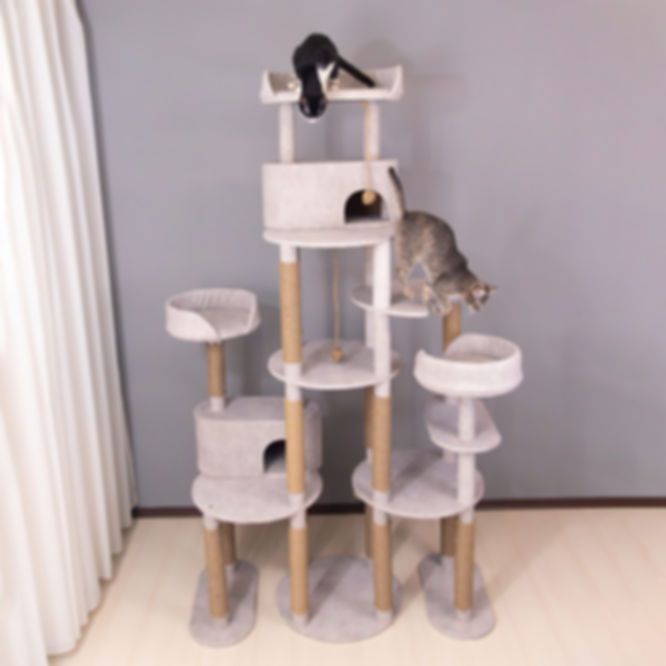 LUNA, 215 cm, Ansamblu Joaca Pisici
