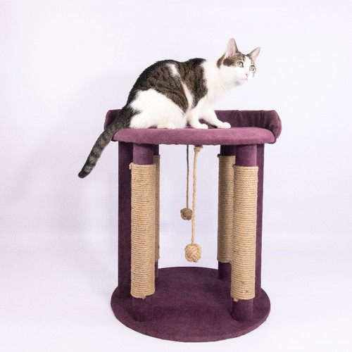 ◆Cat◆ CAT THRONE, 60 cm, Ansamblu joaca XXL pentru pisici, multifuncțional