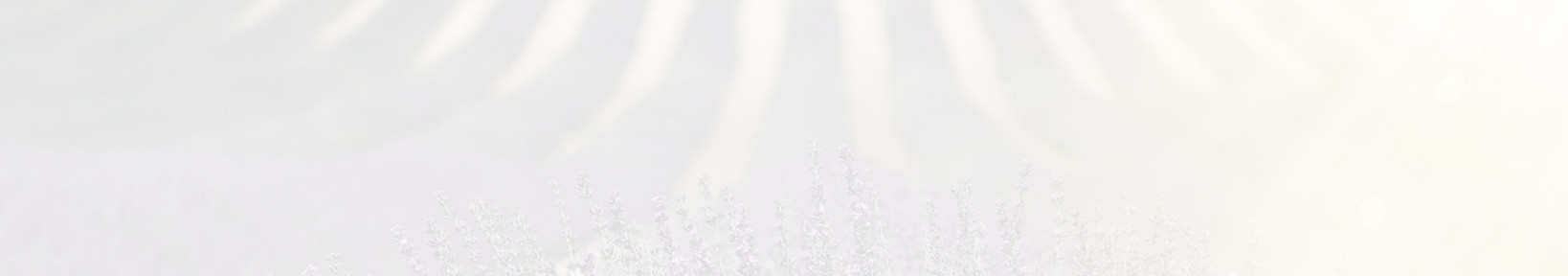 Lavender Fields_edited_edited.jpg