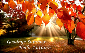 October/November Bulletin 2023