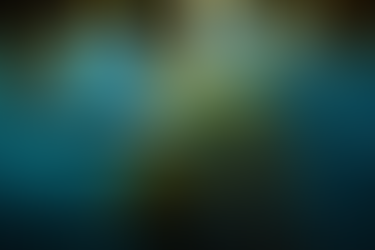 Red Tide In Costa Rica. What Is It And What Should You Know About It?