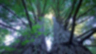 fullsizeoutput_50f8.jpeg