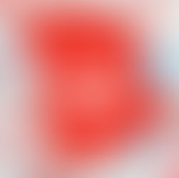 Bingo Updates