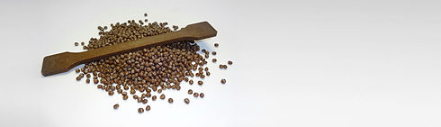 GRACE_Natural-fiber-reinforced-composite