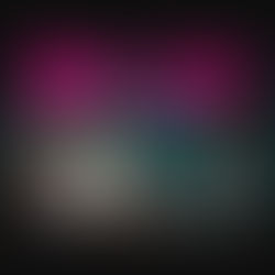 Lynn Faces - Norwich Theatre Stage Two (29.01.2025)