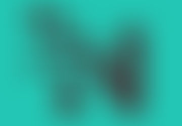 A New Look for Our Website, Come and Visit it, it's Live!