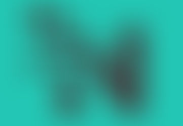 A New Look for Our Website, Come and Visit it, it's Live!