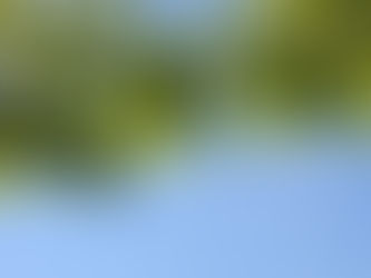 Naturbeads Featured on UKRI Webapage