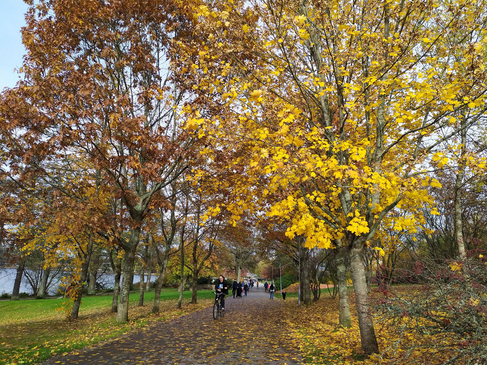 Växjösjön