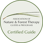 ANFT+logo.png