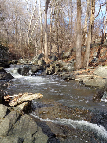 Rockefeller Park Preserve Water Fall 1.jpg