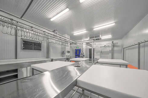 cabinet freezer.jpg