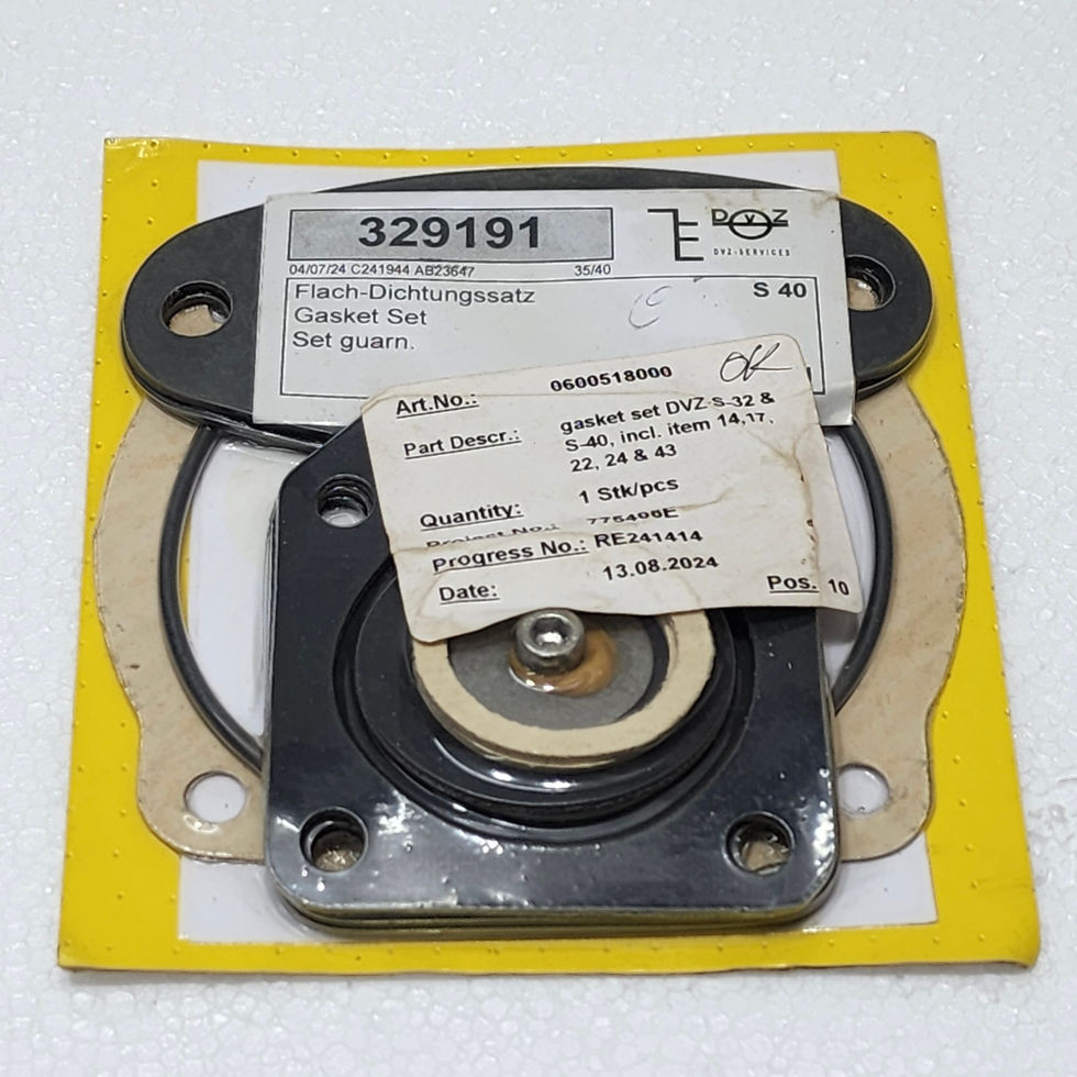 DVZ Services 329191 NBR Gasket Set for Cast Iron Pumps S 40