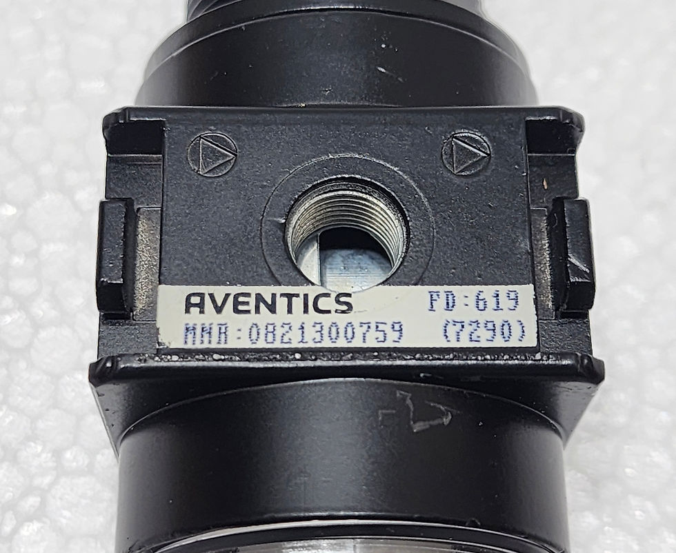 Aventics 0821300759 Filter pressure regulator NL1-FRE Series   NL1-FRE-G014-GAN-100-PNB-HO-05,00