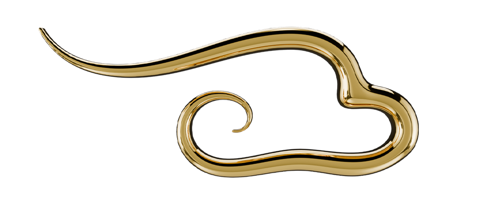 Icon logo.png
