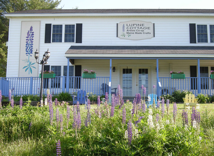 17097964_1368824579843536_63768264578615