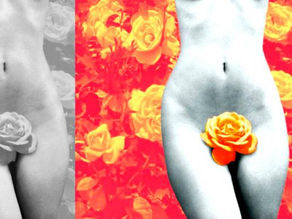 What Men Think Of Each Of The 8 Different Types Of Vaginas