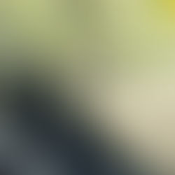 My connection with O'Keefe