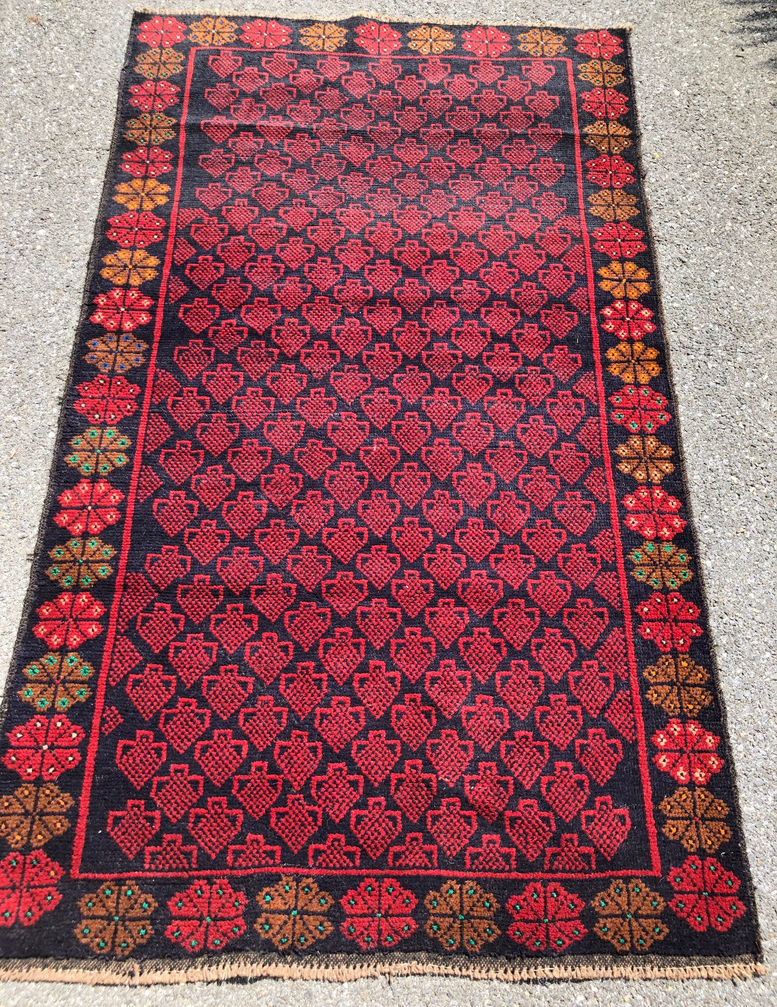 Afghan Herati