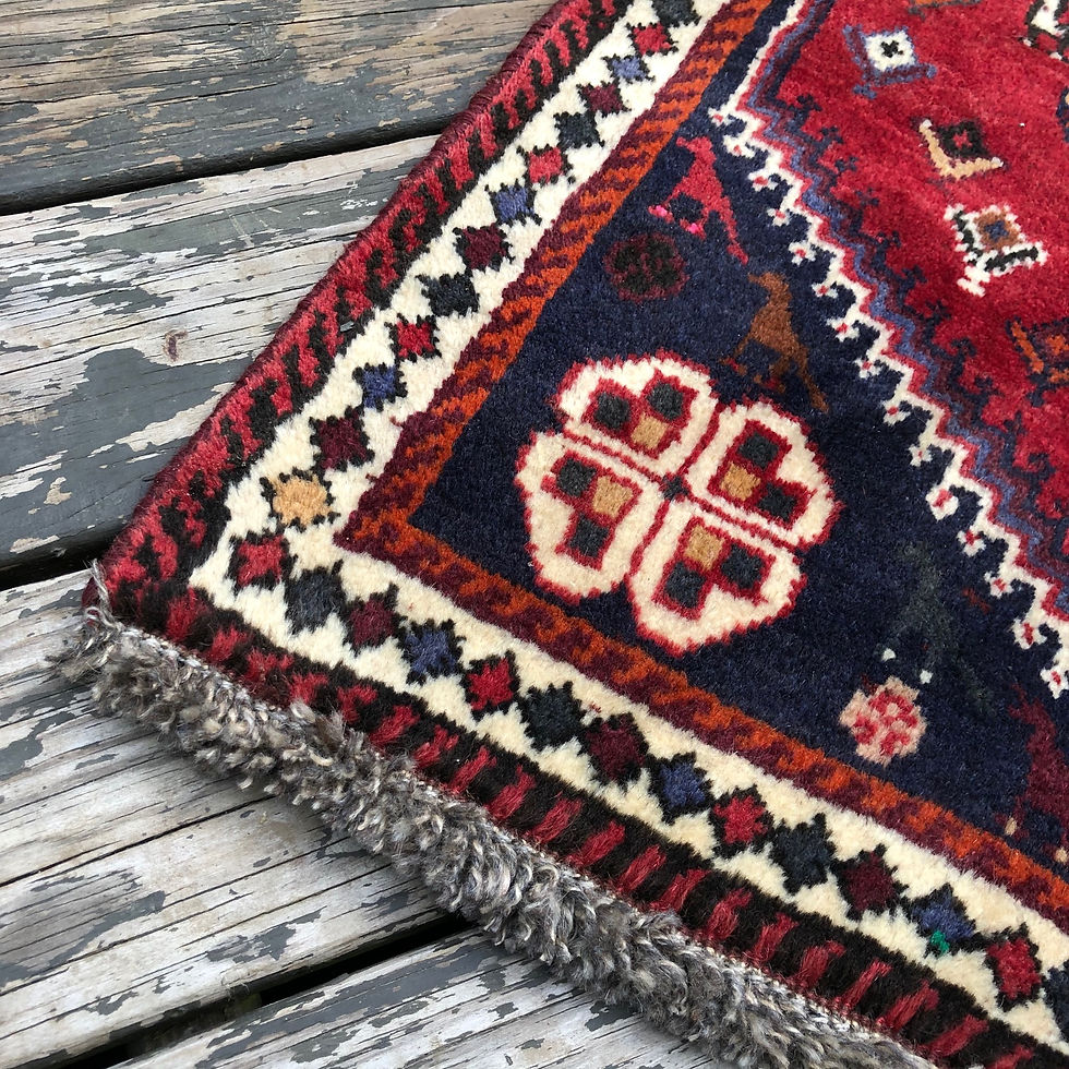 Thumbnail: Persian Shiraz Qashqai