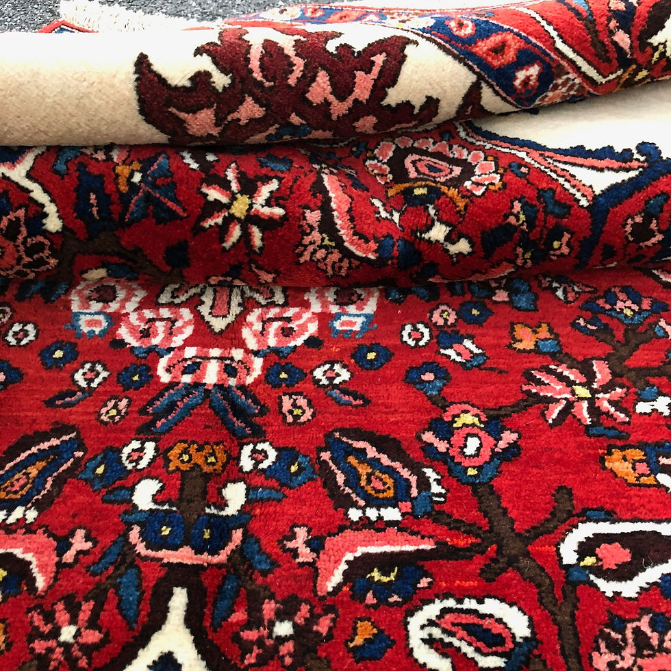 Thumbnail: Persian Bakhtiari