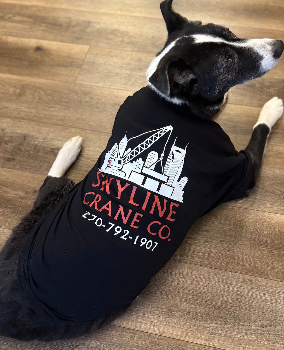 Thumbnail: Nashville T-Shirt