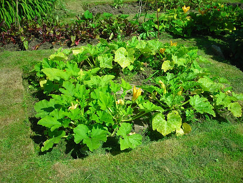 DSCN1539.JPG