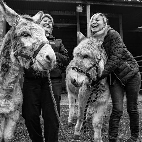 215 - Laughter at the Rescue.jpg