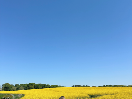 I was addicted to my phone.