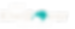 logo (4).png
