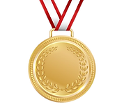 1910.i211.034.P.m004.c25.award_medal_realistic_set-03-removebg-preview.png