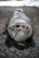 Thumbnail: TacMed Hypothermia HELIOS System