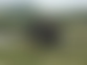What a Day on Safari Really Feels Like