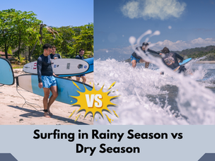 Surfing in Rainy Season vs Dry Season