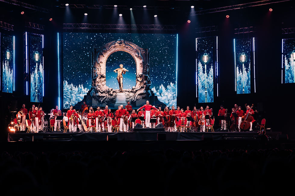 StraussOchestra_ArenaZG-25.jpg