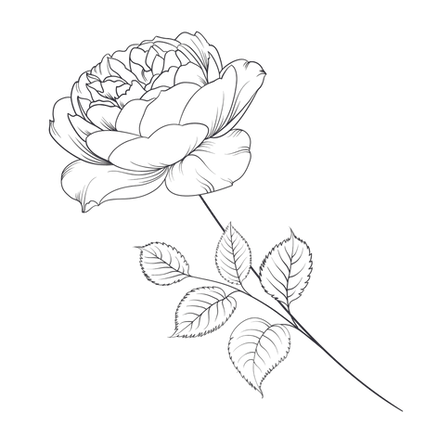 Untitled design (25)_edited.png