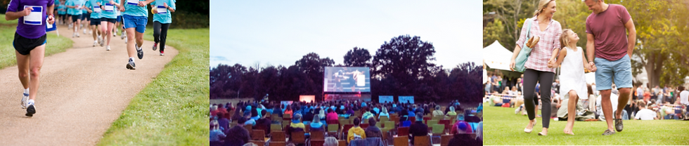 Untitled design (20).png