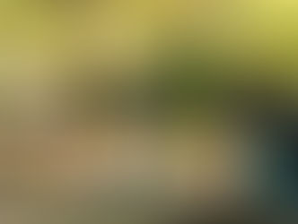 Group Surf Lessons Available in Santa Teresa: Top Picks