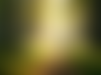 How to Awaken from the Overactive Mind