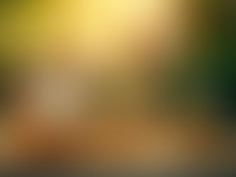 Private Equity in 2024 – Opportunities & Challenges